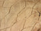 HSM Collection-Decoratieve Schildpad-55x40x25-Naturel-Teak