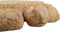 HSM Collection-Decoratieve Schildpad-55x40x25-Naturel-Teak