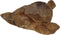 HSM Collection-Decoratieve Schildpad-55x40x25-Naturel-Teak
