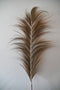 HSM Collection-Decoratieve Veer -65x2x220-Groen/Naturel-Bamboe