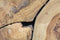 HSM Collection Kubus bijzettafel - 30x30 cm - teak - natural wax