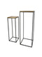 HSM Collection Plantenstandaard - mangohout/ijzer - set van 2