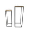 HSM Collection Plantenstandaard - mangohout/ijzer - set van 2