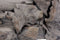 HSM Collection-Rechthoekige Spiegel Root-140x6x80-Naturel-Teak