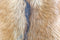 HSM Collection-Ronde Kruk Geitenhuid-ø33x45-Assorti/Naturel-Geitenhuid/Teak