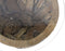 HSM Collection-Ronde Salontafel Root-ø80x45 (glas ø90)-Bruin-Teak/Glas