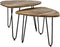 HSM Collection Salontafel Dexter - ø60 cm - mangohout/ijzer - set van 2