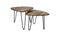 HSM Collection Salontafel Dexter - ø60 cm - mangohout/ijzer - set van 2