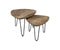 HSM Collection Salontafel Dexter - ø60 cm - mangohout/ijzer - set van 2