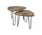 HSM Collection Salontafel Dexter - ø60 cm - mangohout/ijzer - set van 2