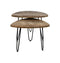 HSM Collection Salontafel Dexter - ø60 cm - mangohout/ijzer - set van 2