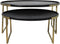 HSM Collection Salontafel Paulson - mangohout/antique gold - set van 2