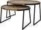 HSM Collection Salontafel Paulson - mangohout/ijzer - set van 2