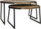 HSM Collection Salontafel Paulson - mangohout/ijzer - set van 2