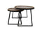 HSM Collection Salontafel Paulson - mangohout/ijzer - set van 2