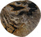 HSM Collection Salontafel rond - ø64x56x46 - Naturel/zwart - Natuursteen/metaal
