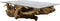 HSM Collection -Salontafel - teak - 140x90 cm