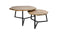 HSM Collection Salontafel Urban - mangohout/ijzer - powdercoated black - set van 2