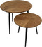HSM Collection Salontafel Visgraat Naturel/Zwart Eiken/Metaal Set van 2