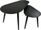 HSM Collection Salontafels Zurich Zwart Acaciahout/Ijzer Set van 2