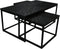 HSM Collection Salontafels Zwart Mangohout/Ijzer Set van 3