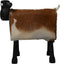 HSM Collection-Schaap Shawn Large-58x34x62-Assorti/Zwart-Geitenhuid/Teak