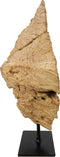 HSM Collection-Sculptuur erosihout -45x15x55-Naturel/Zwart-Teak