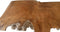 HSM Collection-Wandtafel Teak Root Two Tone-100x40x75-Naturel-Teak