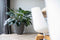Capi Europe - Vaas elegant laag Groove NL - 34x46 - Antraciet - Opening Ø27 - Bloempot voor binnen en buiten - Levenslang garantie - Breukbestendig - 100% Recyclebaar - CO2 Neutraal geproduceerd - KGVZ782