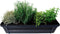 Mix van kruiden in ELHO ® Green Basics balkonbak (Living Black) met metalen balkonrek - Mini-Green - Tuinplanten- Hoogte 30 cm