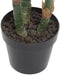Decoratieve plant Home ESPRIT PVC 80 x 80 x 100 cm
