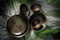 Palmer Bord Jungle Aurora 27 cm Groen Bruin Stoneware 2 stuk(s)