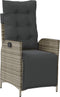 vidaXL - Tuinstoelen - 2 - st - verstelbaar - met - voetensteun - poly - rattan - grijs
