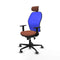 Piqueras y Crespo 1D036G2 - Bureaustoel - Hoofdsteun Verstelbaar - Blauw Bruin