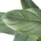 Philodendron Grey - Pyramide in ELHO Round (antraciet) - 70 cm, Ø 20 cm
