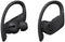 Beats Powerbeats Pro - Draadloze Oortjes - Zweet- en waterbestendig - Zwart
