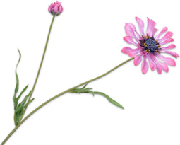 Silk-ka Kunstbloem-Zijden Bloem Margriet Steel Roze-Paars 55 cm Voordeelaanbod Per 2 Stuks