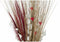 Boeket DKD Home Decor 8424001847471 Blommor Natuurlijk Rood Bruin Gedroogde bloem (40 x 40 x 150 cm) (2 Stuks)