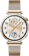 Huawei Watch GT 5, 41mm, Goud (Goud)