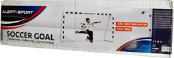 Hudora Voetbaldoel Stadion 300X160X90 Cm