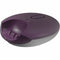 Huistelefoon Logicom DECT ILOA 155T Aubergine