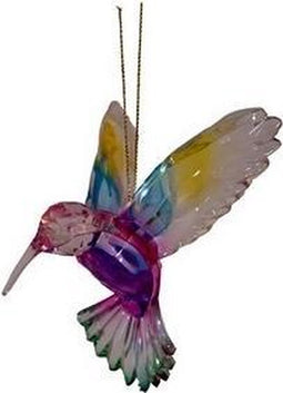 Hummingbird Rainbow
