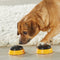 Hunger For Words Talking Pet Namen - Hondenspeelgoed - Geel Zwart