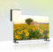 Thomson 24HA2S13C - HD Android TV 24
