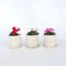 Plant in a Box - Cyclamen Persicum - Mix van 3 - Bloeiende kamerplanten - Pot 9cm - 10-20cm