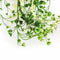 HV Kunstplant - Hangplant -10x22x80cm