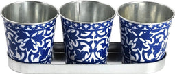 Portuguese metal flower pots on zinc tray - Portuguese metal flower pots on zinc tray