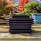 Bonsai Oefenpotten Set - 6 Hoogwaardige Kunststof Potten met Dienbladen | Perfect voor Beginners & E