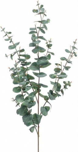 Emerald Kunstbloem Zijdebloem Eucalyptus Tak Groen Grijs 115 cm 422069