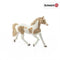 HC Paint Horse Stute